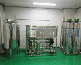 口罩車(chē)間0.5噸雙級(jí)反滲透純化水設(shè)備